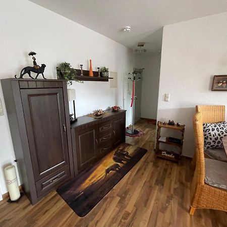 Moeblierte Wohnung Fuer Geschaeftsreisen/Ferienwohnung Plauen Stadtmitte Eksteriør billede