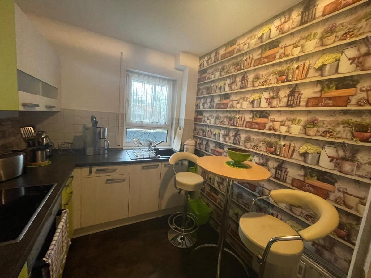 Moeblierte Wohnung Fuer Geschaeftsreisen/Ferienwohnung Plauen Stadtmitte Eksteriør billede